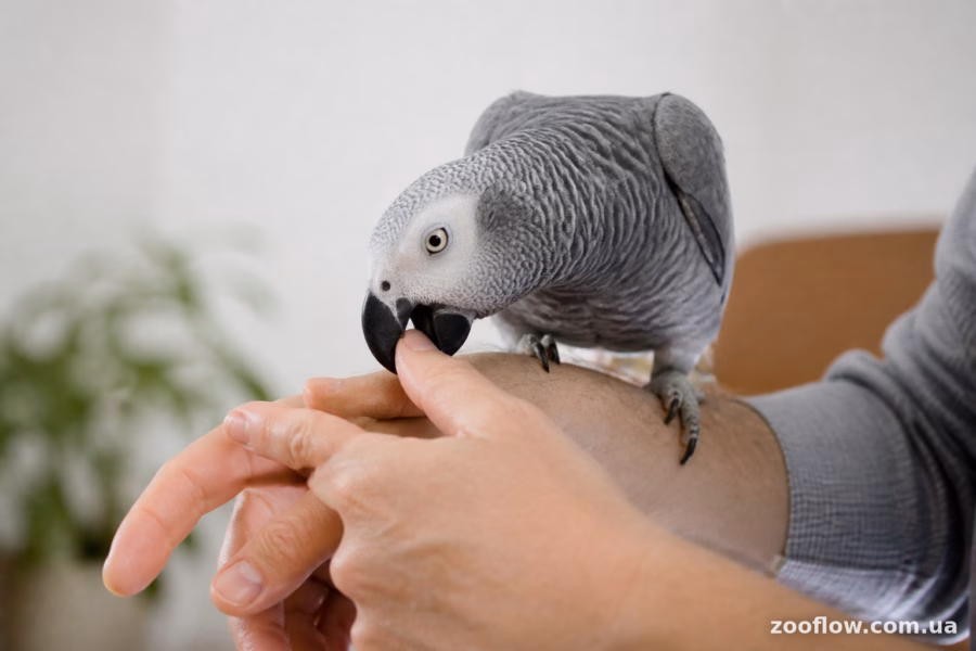 Чого точно не варто робити