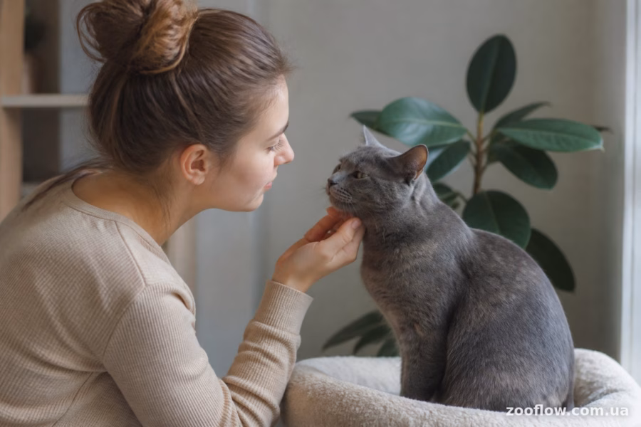 Як лишай передається від кота до людини